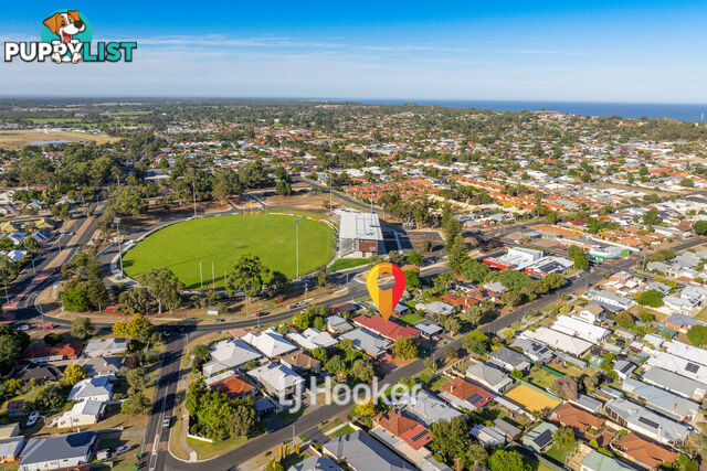 53 Constitution Street SOUTH BUNBURY WA 6230