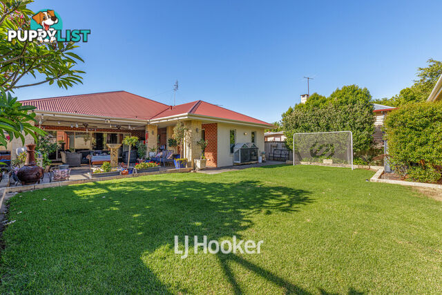 53 Constitution Street SOUTH BUNBURY WA 6230