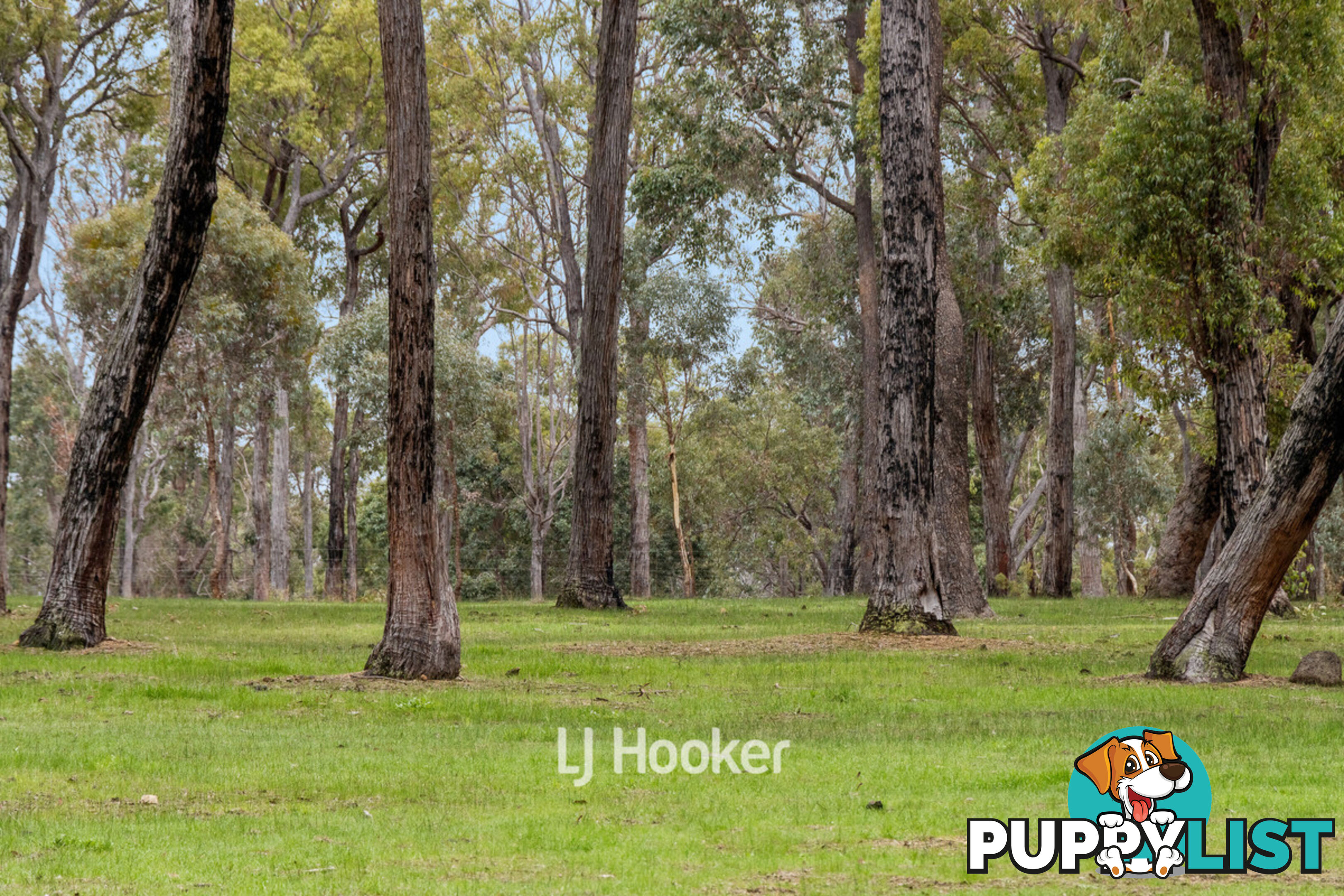 660 McAlinden Road MCALINDEN WA 6225