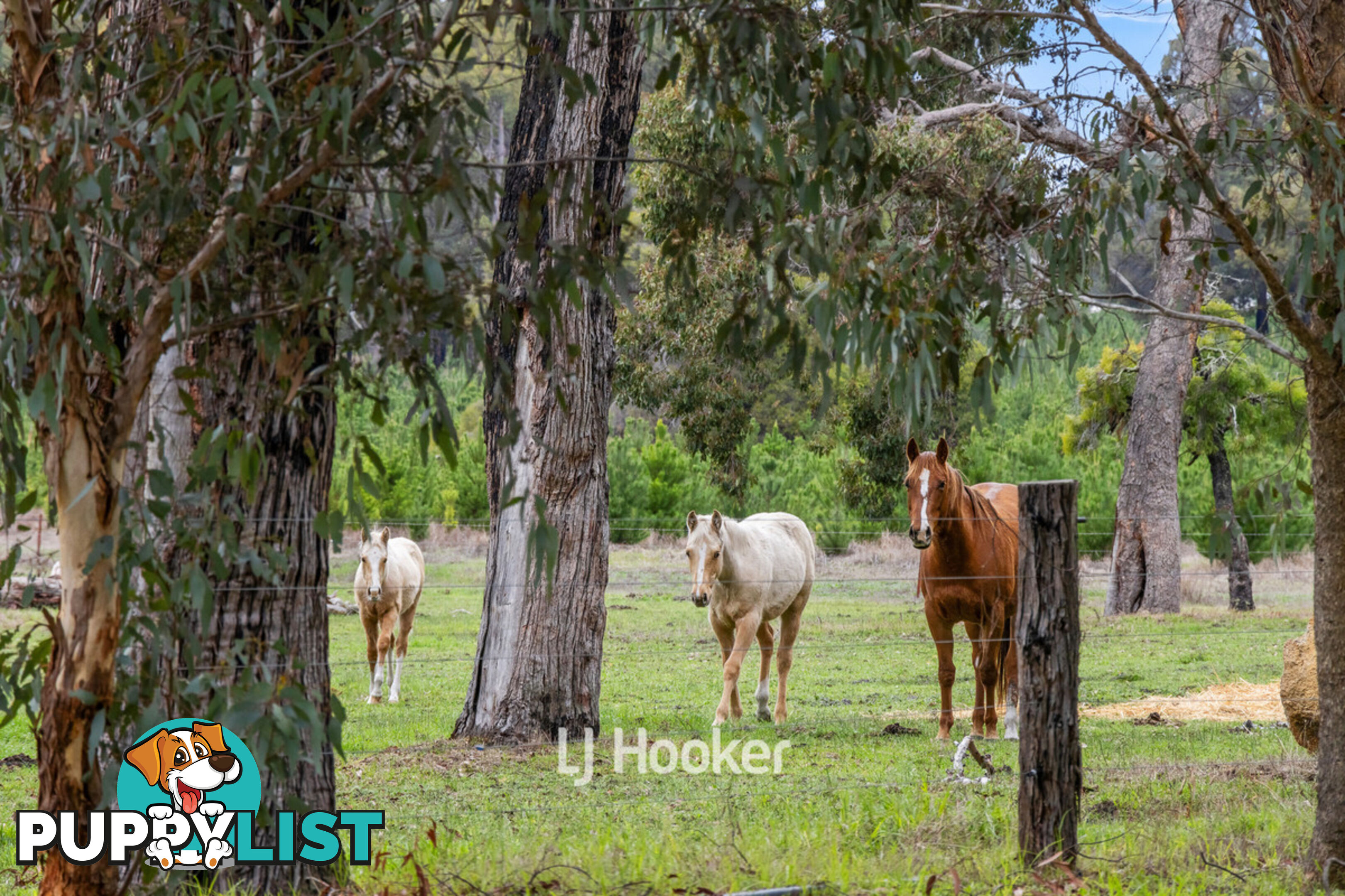 660 McAlinden Road MCALINDEN WA 6225