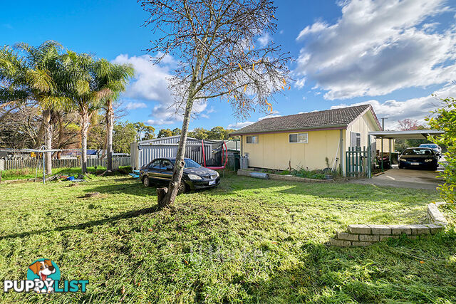 43 Wylam Road COLLIE WA 6225