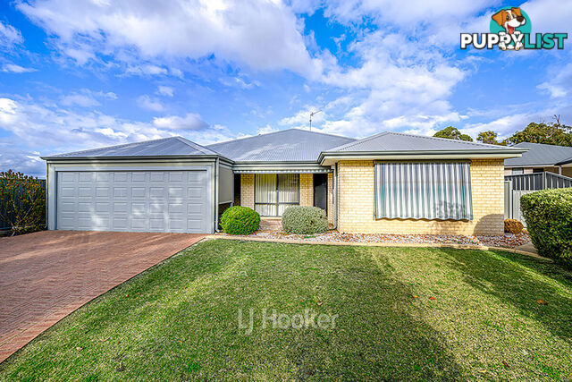 19 Robinia Rise COLLIE WA 6225