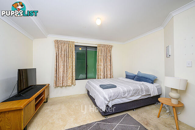 19 Robinia Rise COLLIE WA 6225
