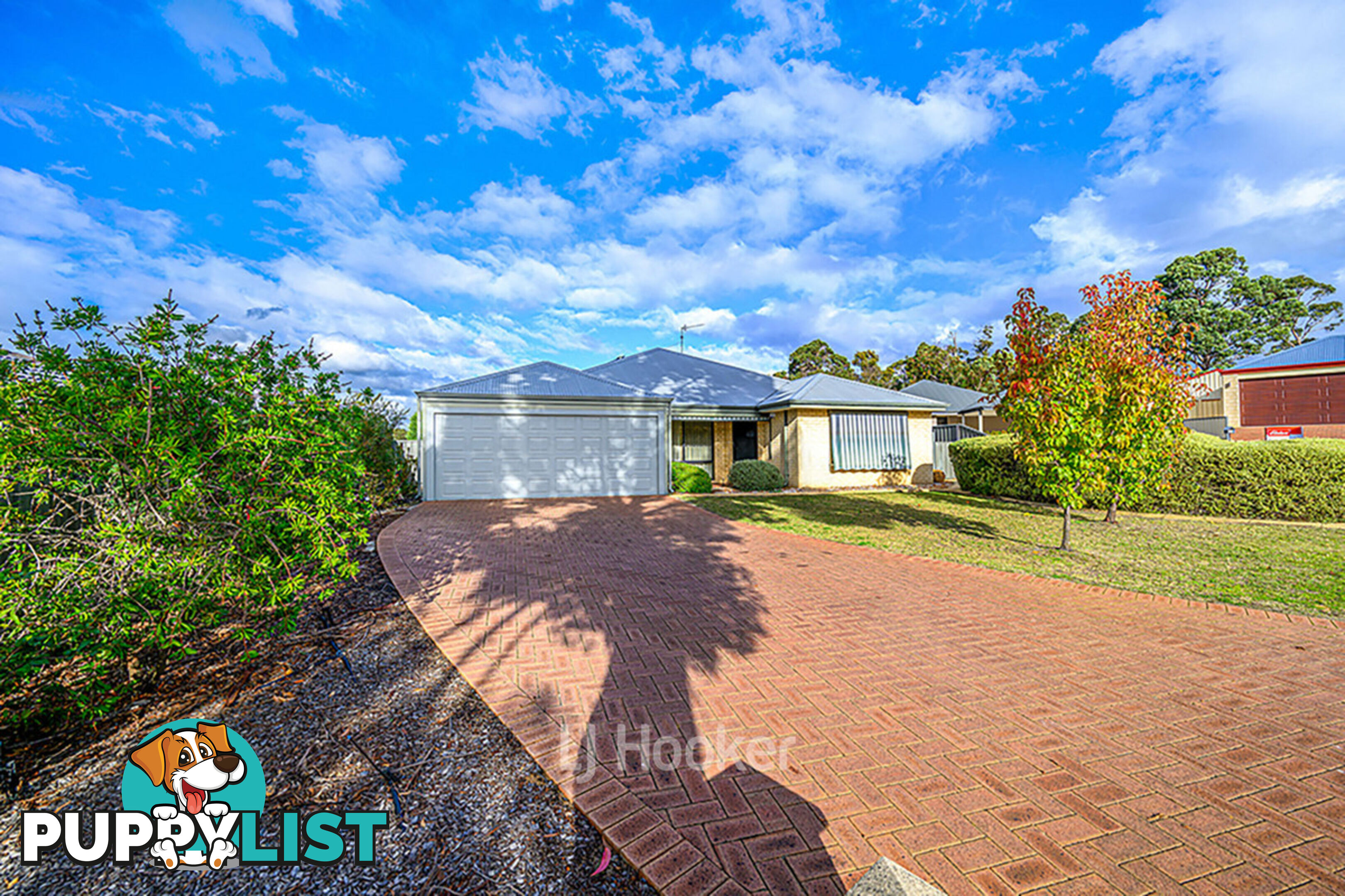 19 Robinia Rise COLLIE WA 6225