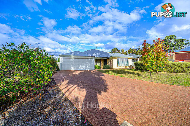 19 Robinia Rise COLLIE WA 6225