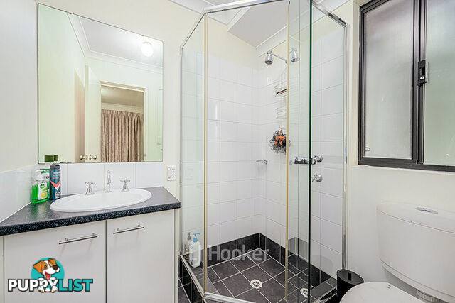 19 Robinia Rise COLLIE WA 6225