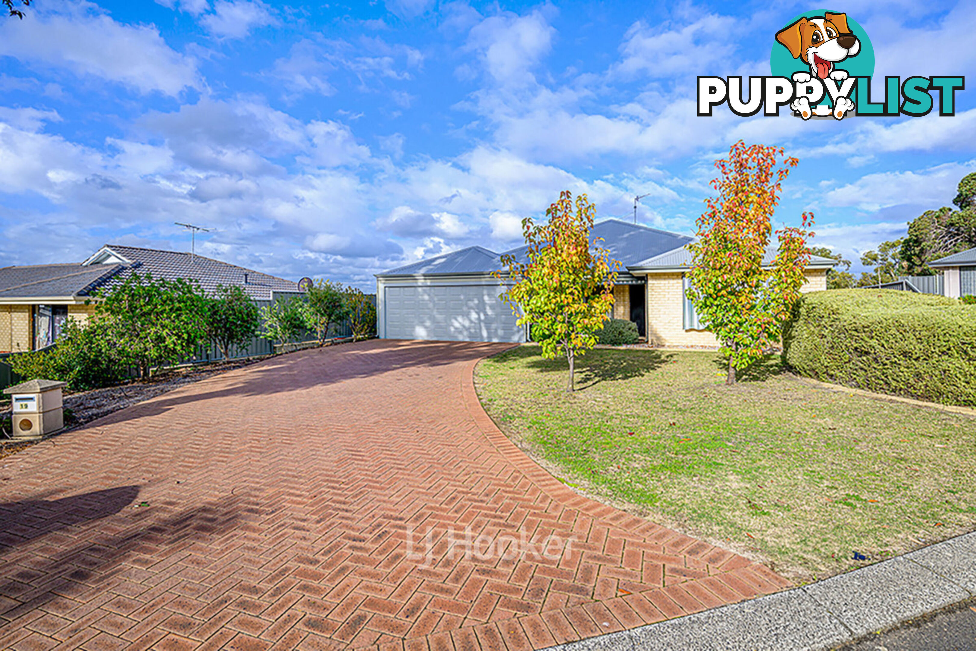 19 Robinia Rise COLLIE WA 6225