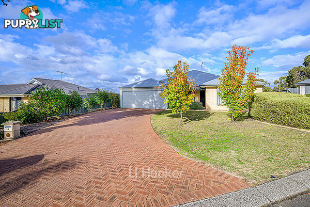 19 Robinia Rise COLLIE WA 6225