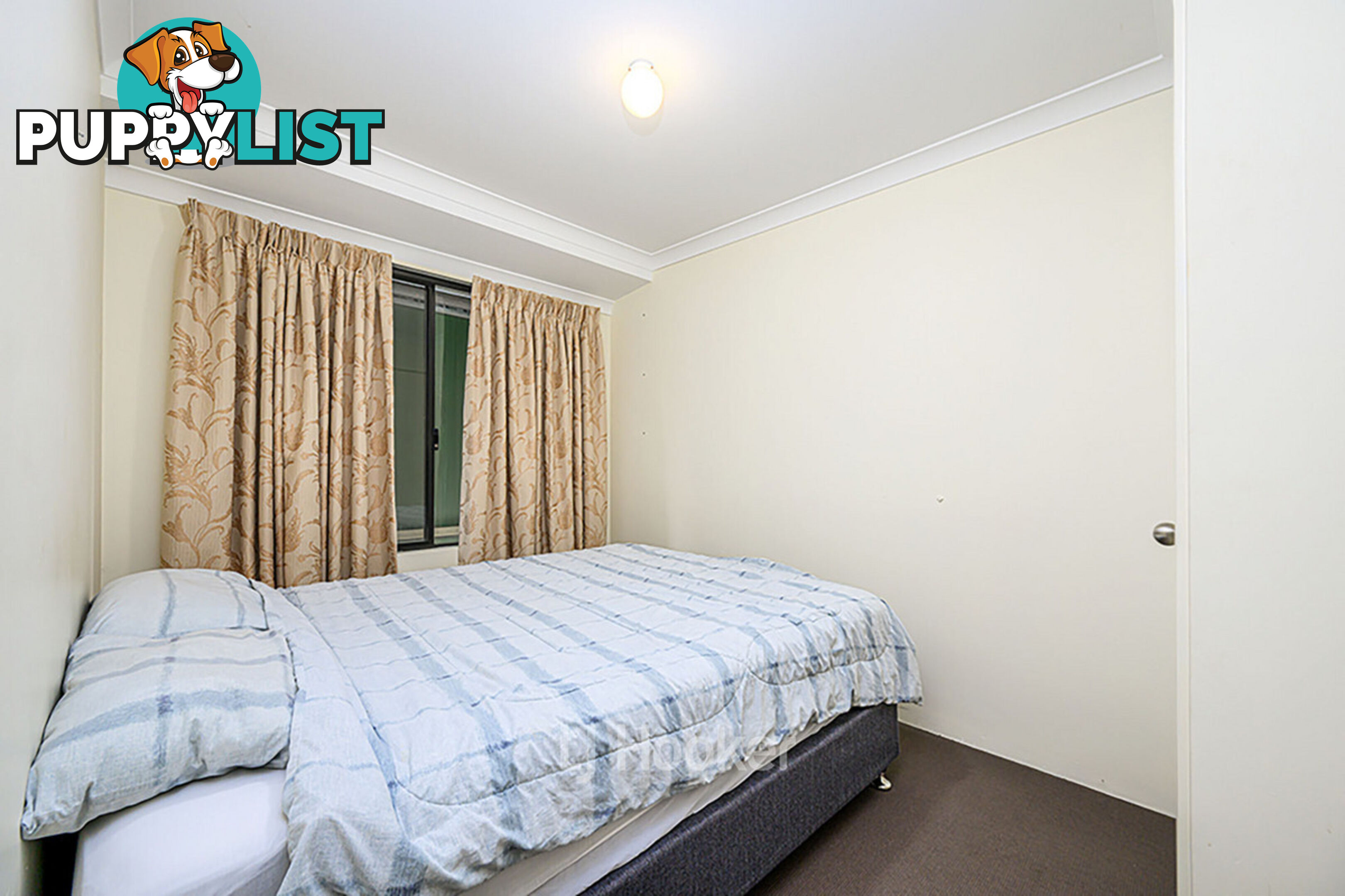 19 Robinia Rise COLLIE WA 6225