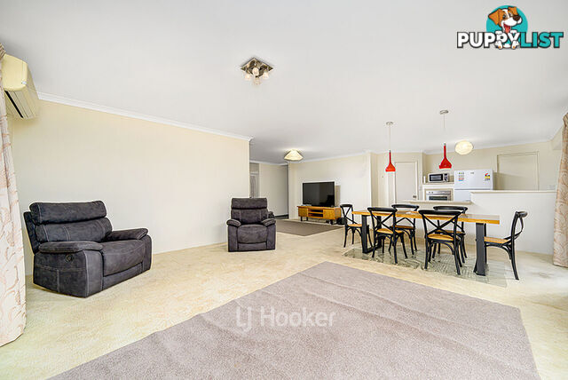 19 Robinia Rise COLLIE WA 6225
