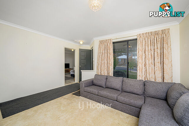 19 Robinia Rise COLLIE WA 6225
