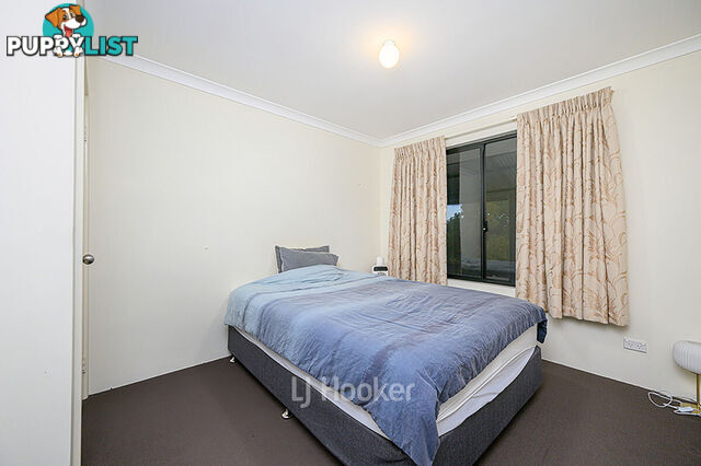 19 Robinia Rise COLLIE WA 6225