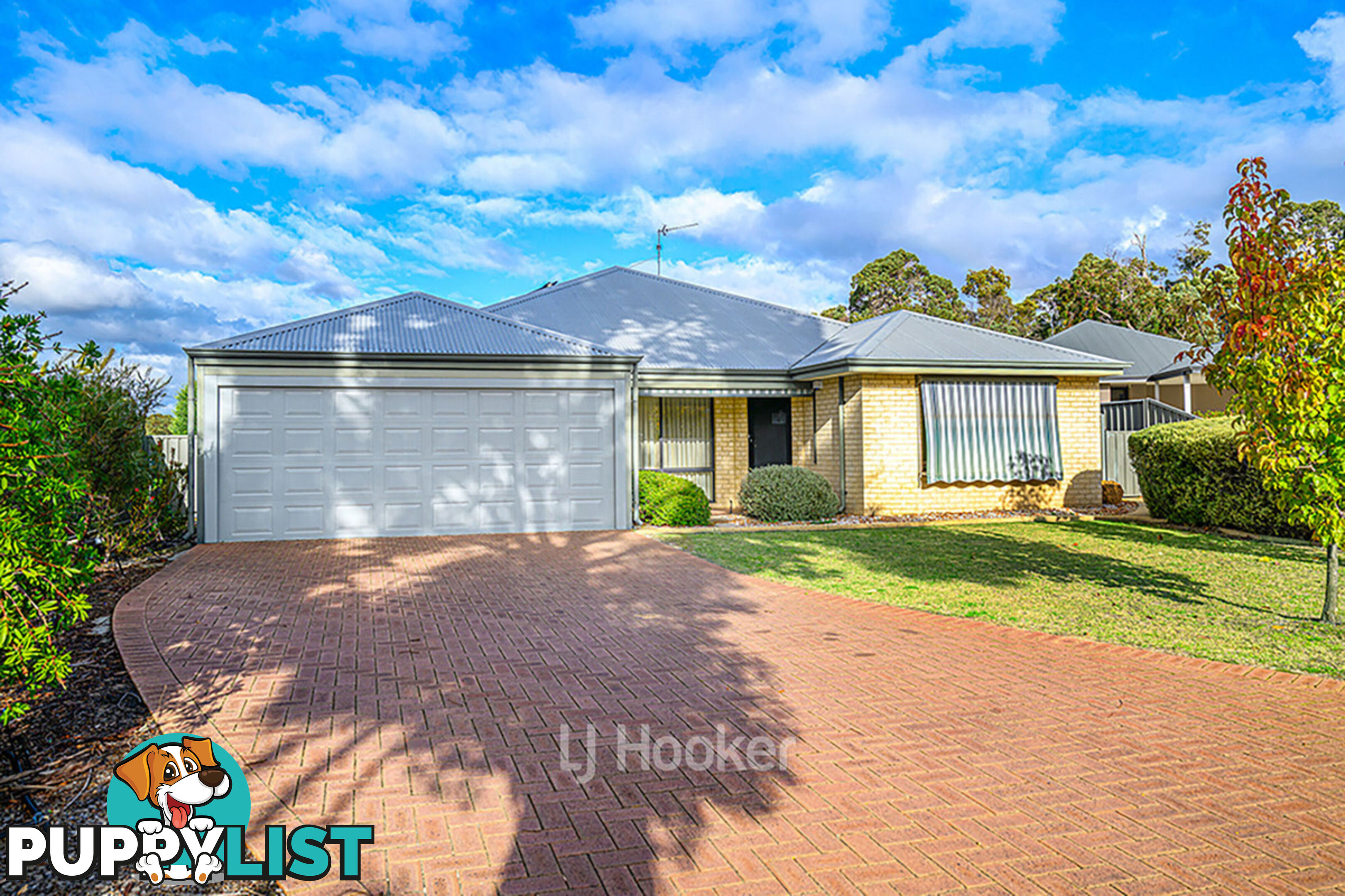19 Robinia Rise COLLIE WA 6225