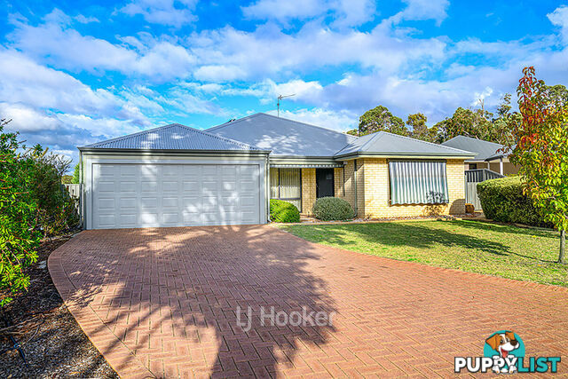 19 Robinia Rise COLLIE WA 6225