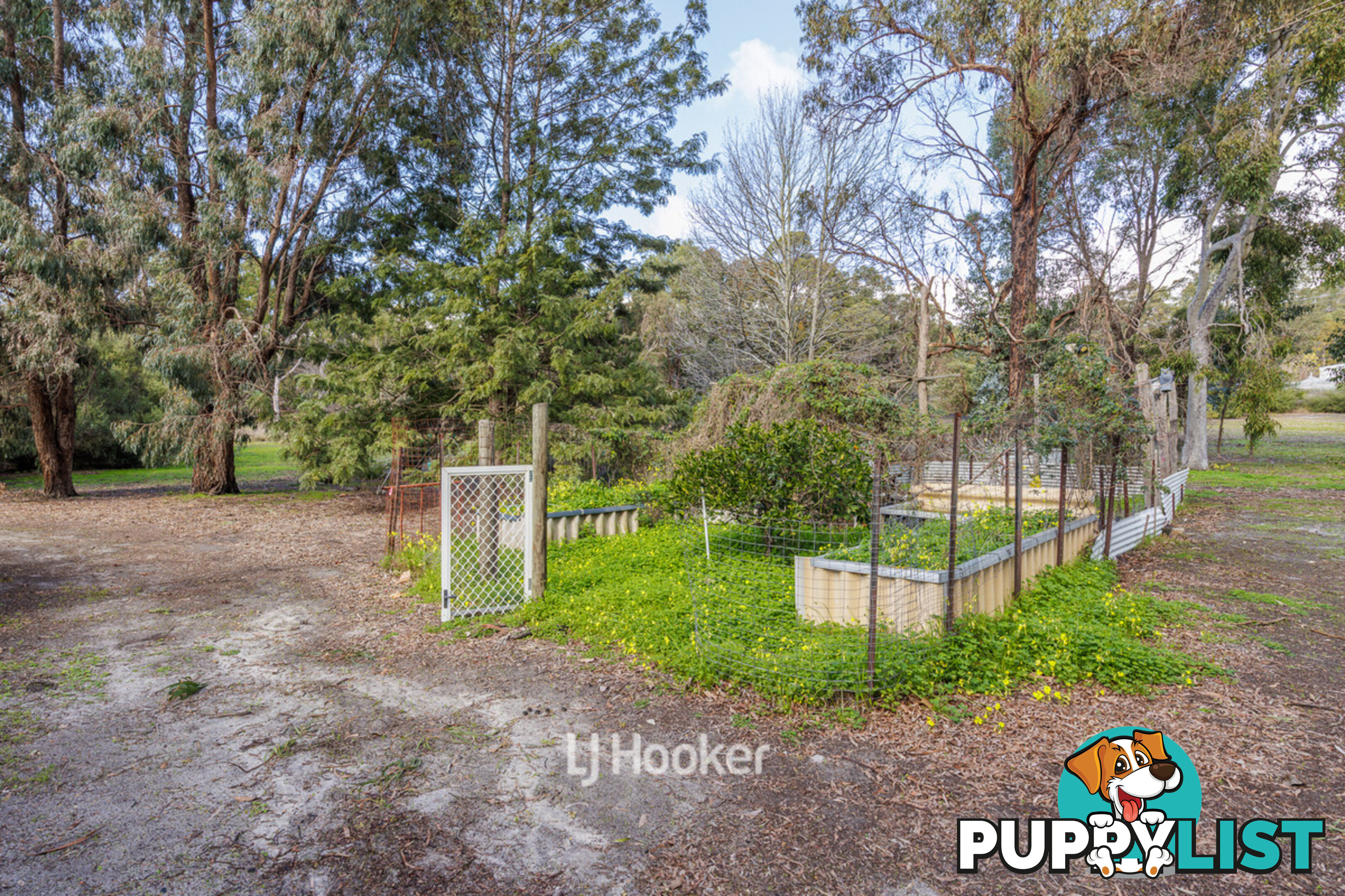 36 Marshall Road ARGYLE WA 6239