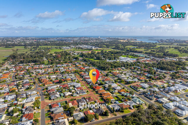 14 Clematis Lane GLEN IRIS WA 6230