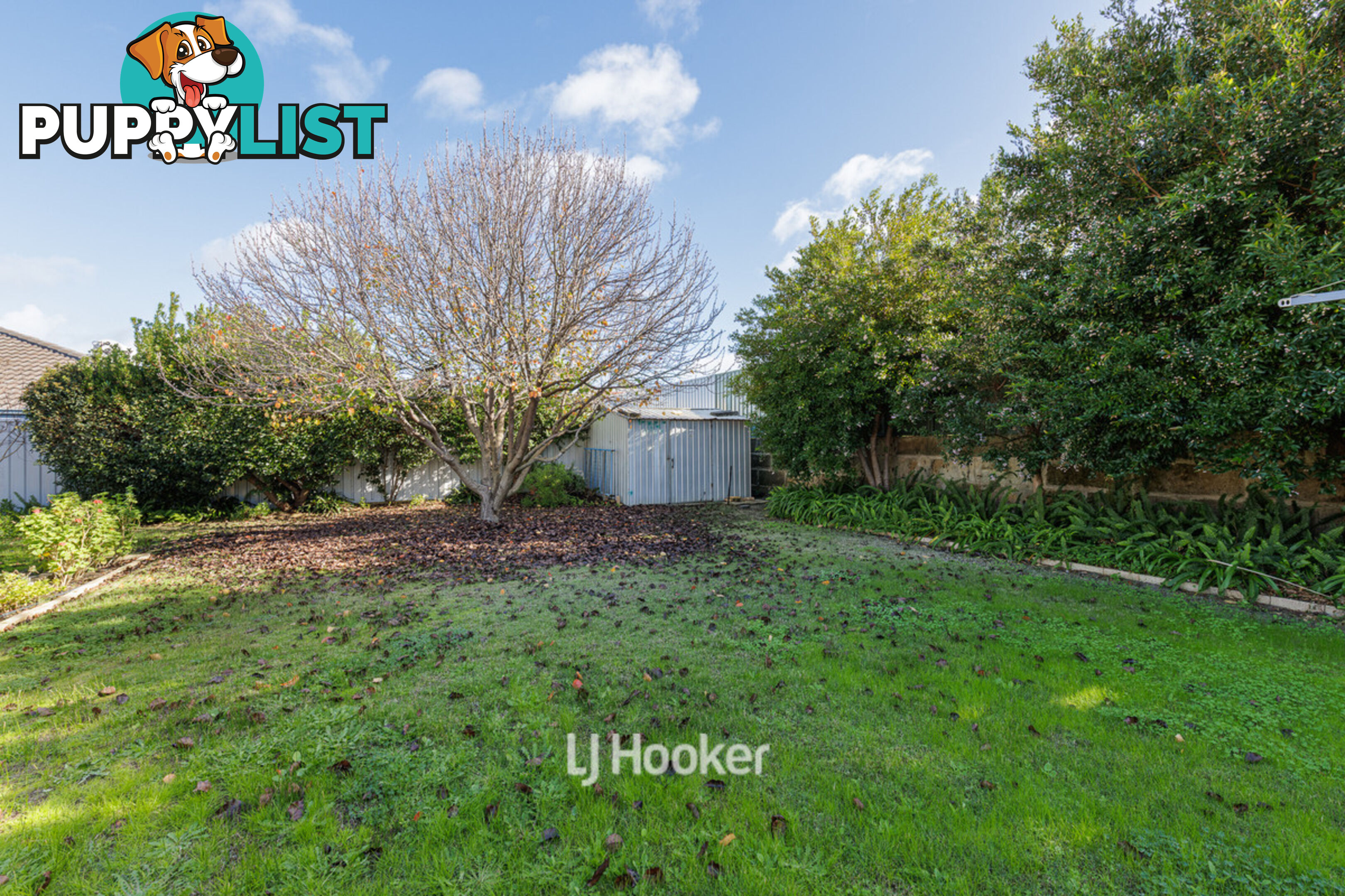 14 Clematis Lane GLEN IRIS WA 6230