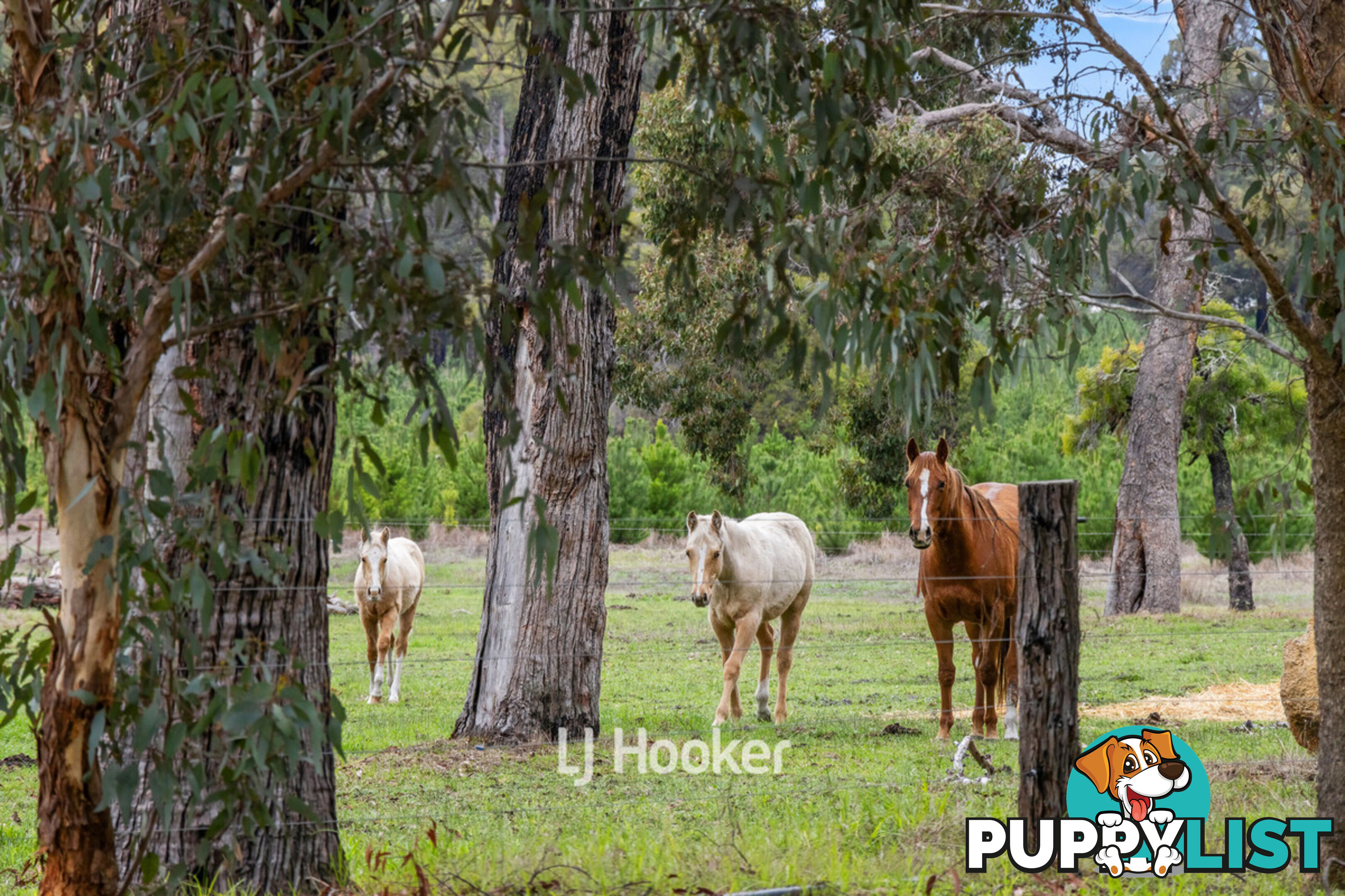 660 McAlinden Road MCALINDEN WA 6225