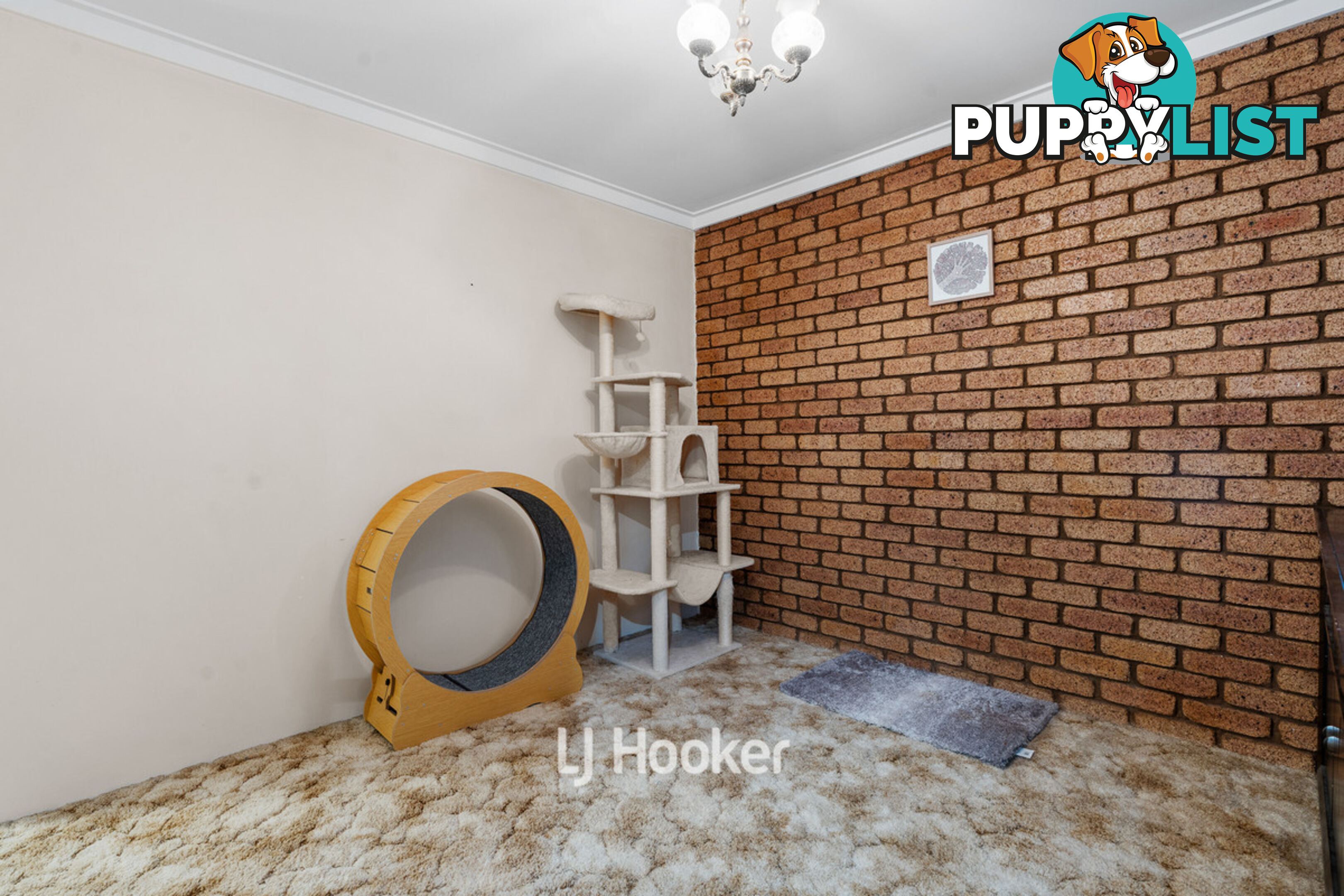 49 Ganfield Street CAREY PARK WA 6230