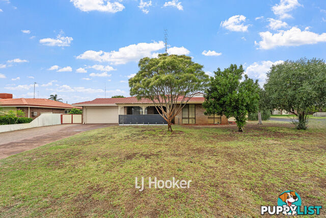 49 Ganfield Street CAREY PARK WA 6230