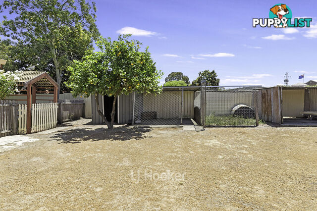 106 Jones Street COLLIE WA 6225