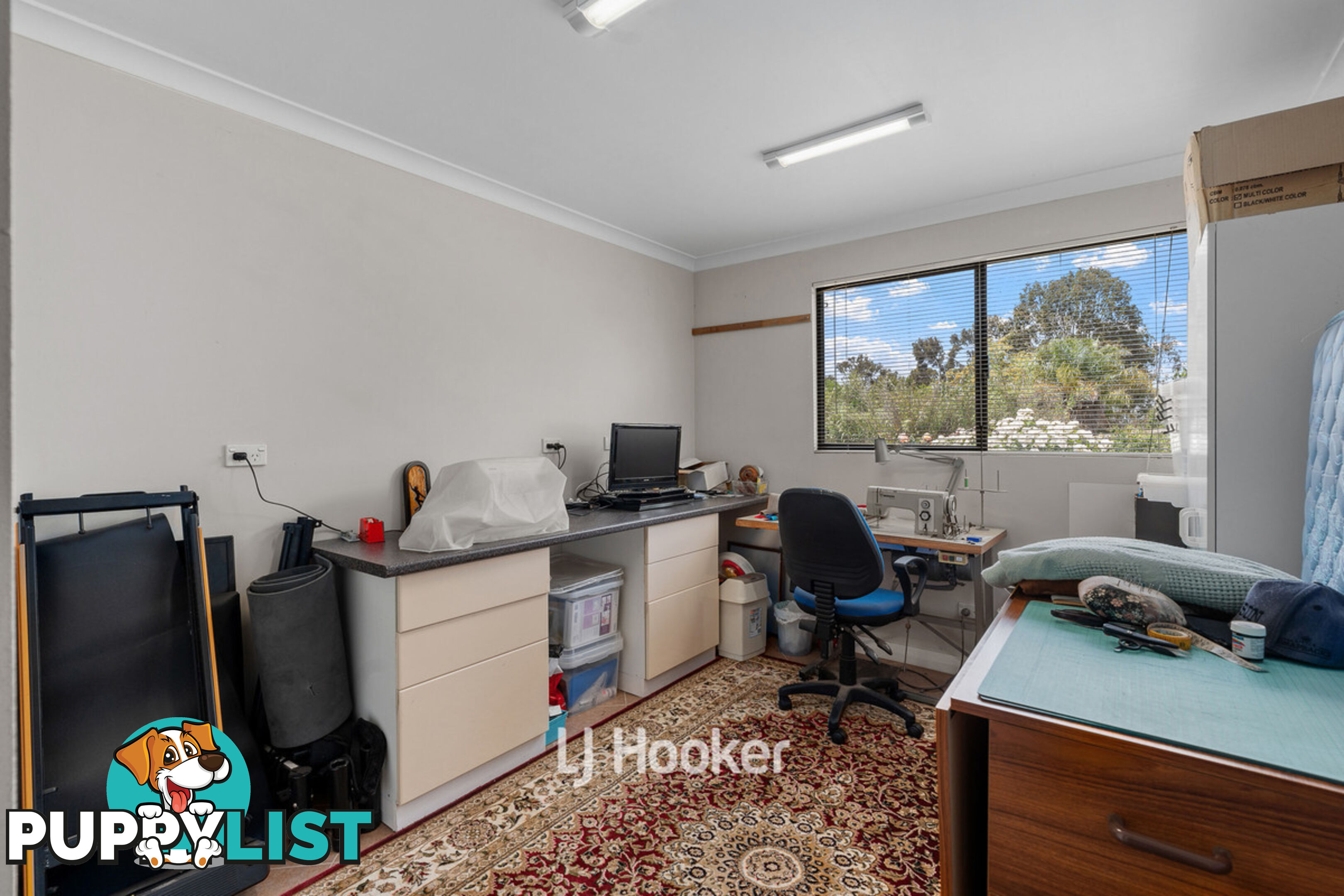 8 Vernon Street COLLIE WA 6225