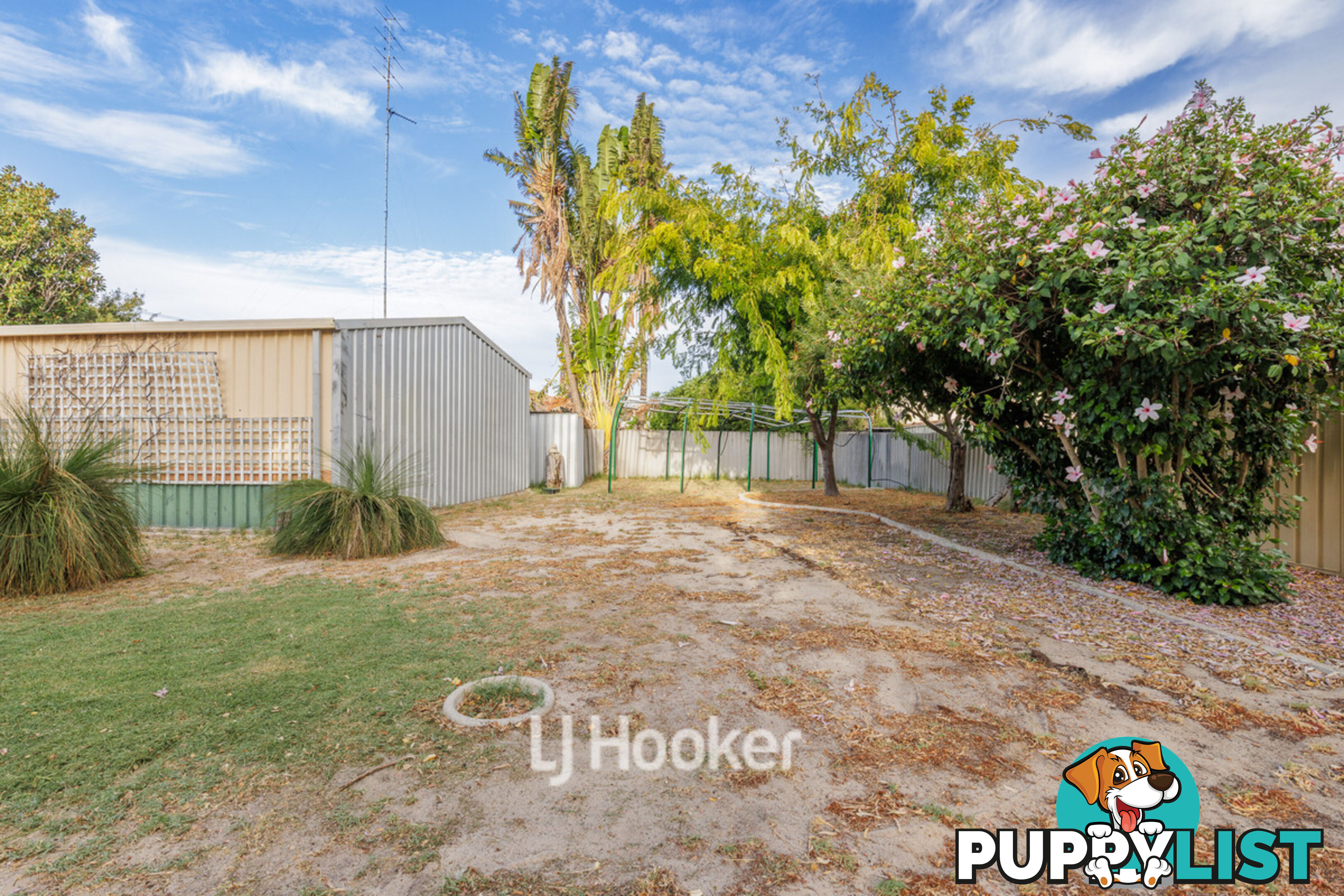 49 Matilda Avenue AUSTRALIND WA 6233