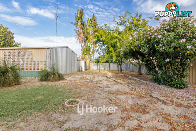 49 Matilda Avenue AUSTRALIND WA 6233