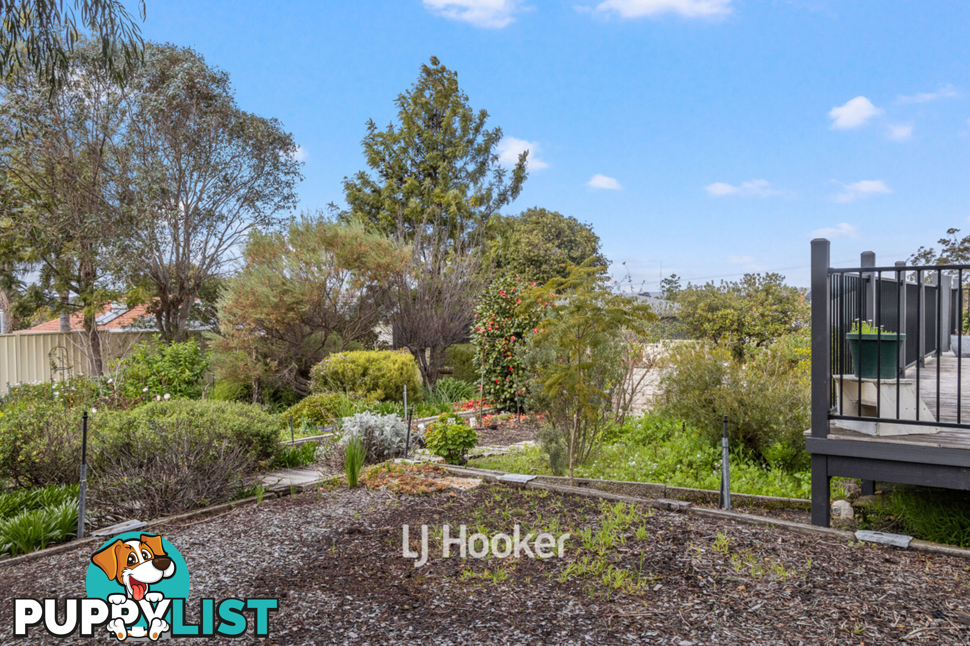 156 Prinsep Street COLLIE WA 6225