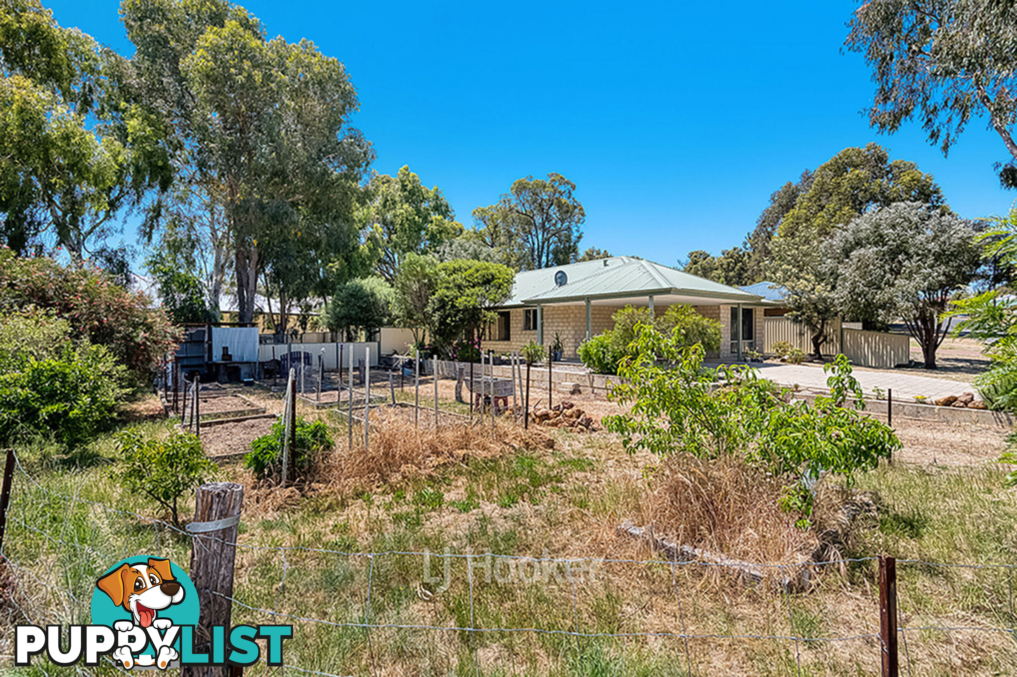 43 Porter Street COLLIE WA 6225