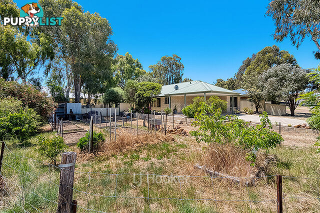 43 Porter Street COLLIE WA 6225