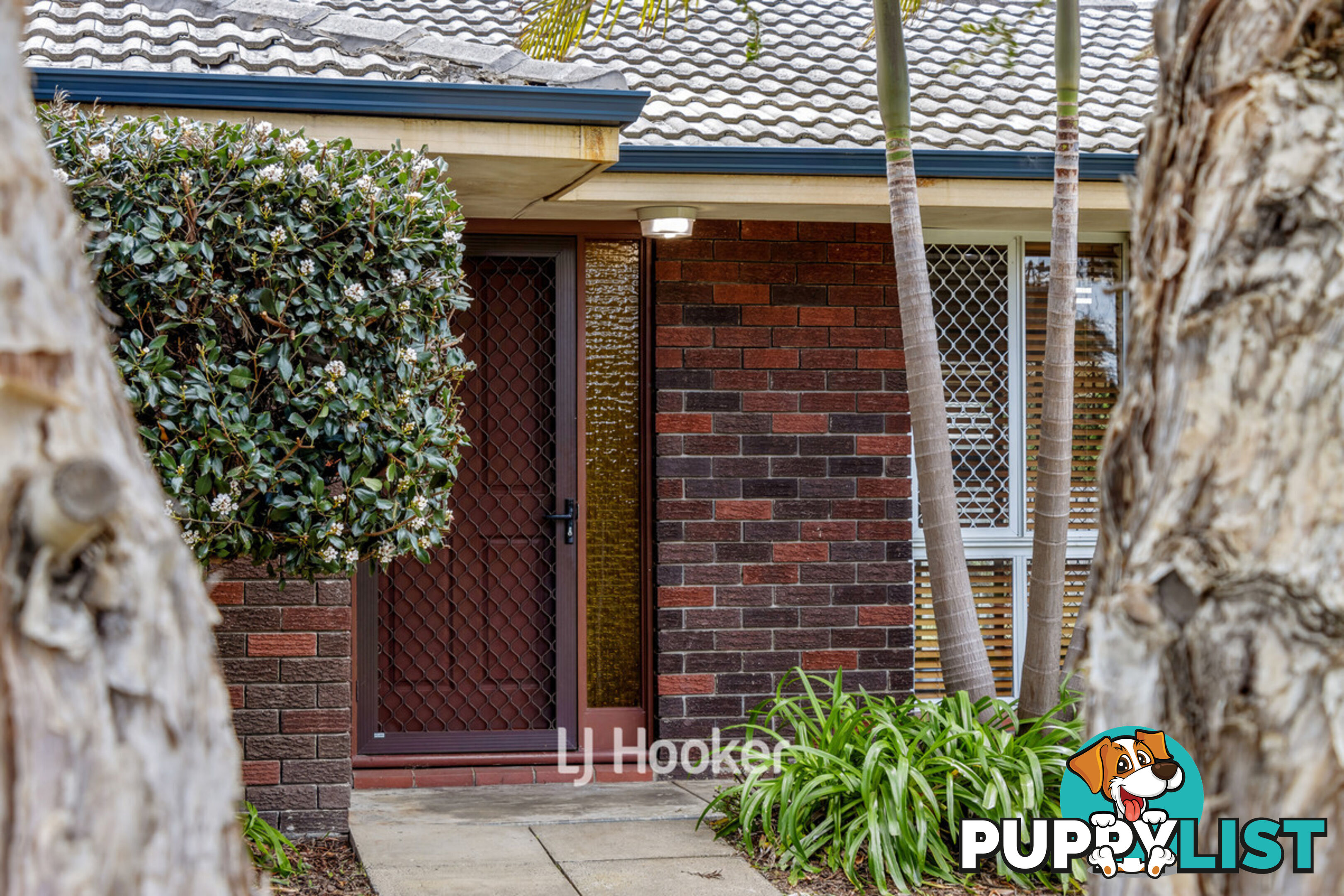 16A Palmerston Street CAREY PARK WA 6230