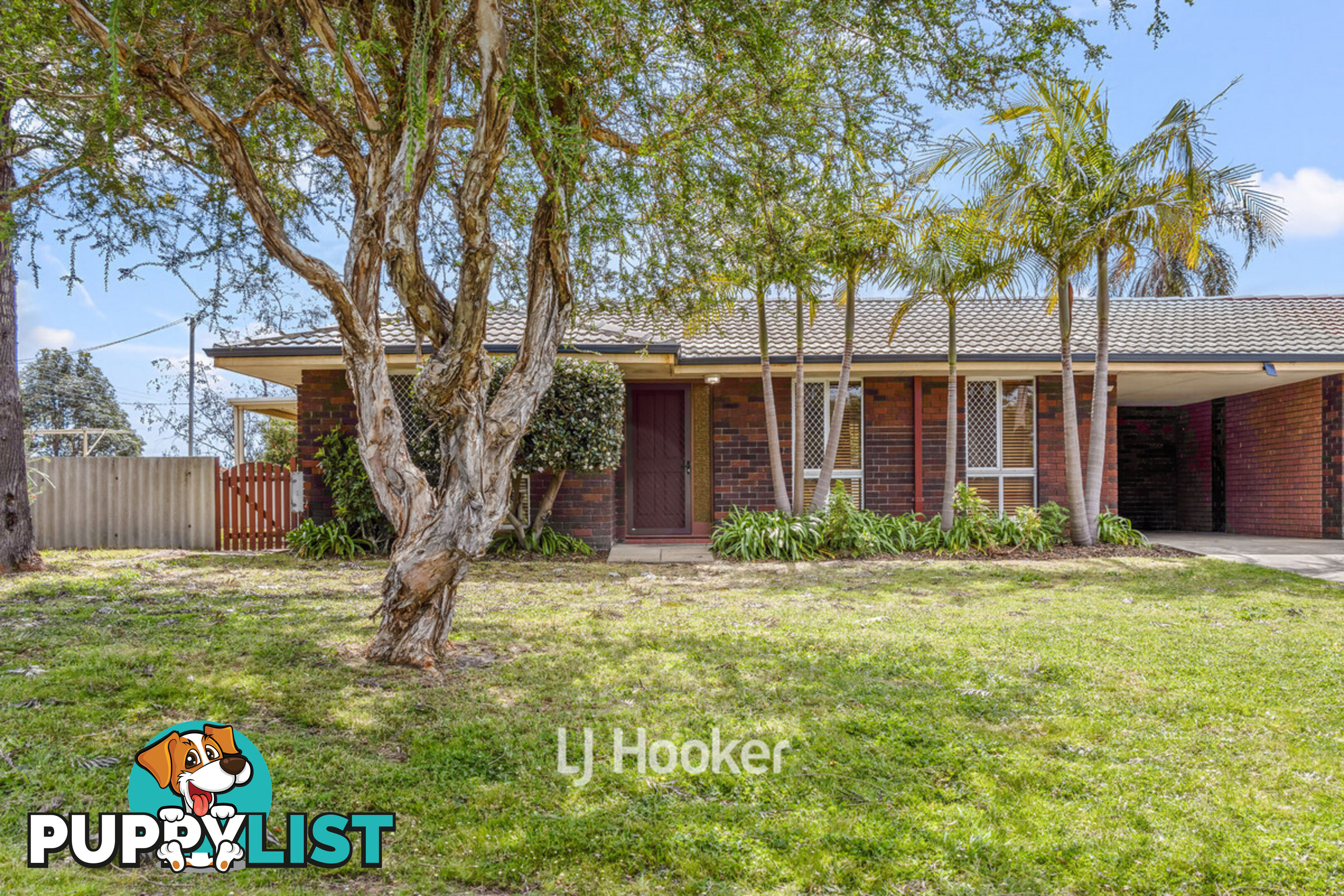 16A Palmerston Street CAREY PARK WA 6230