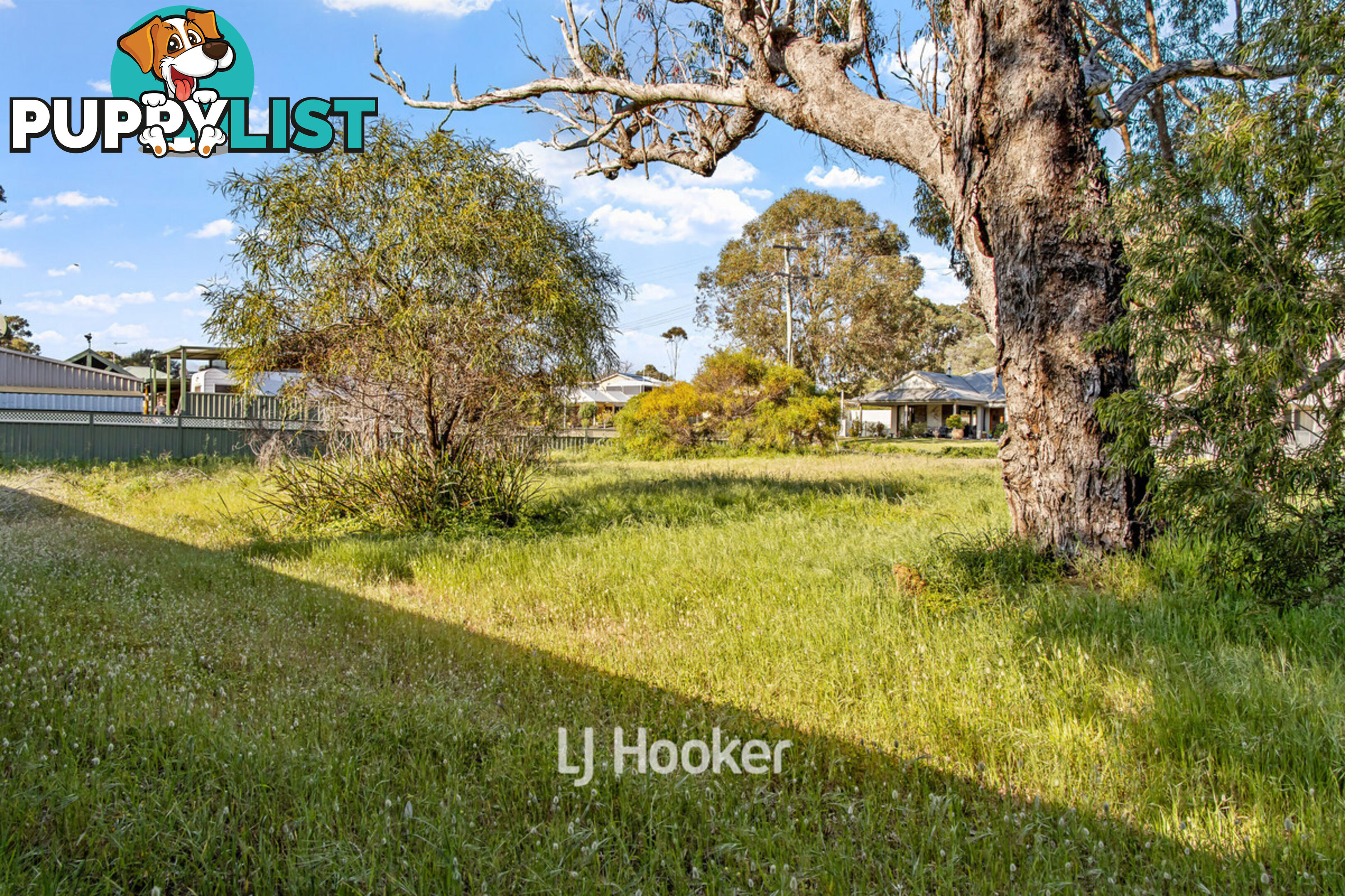 1 Hovea Street MYALUP WA 6220