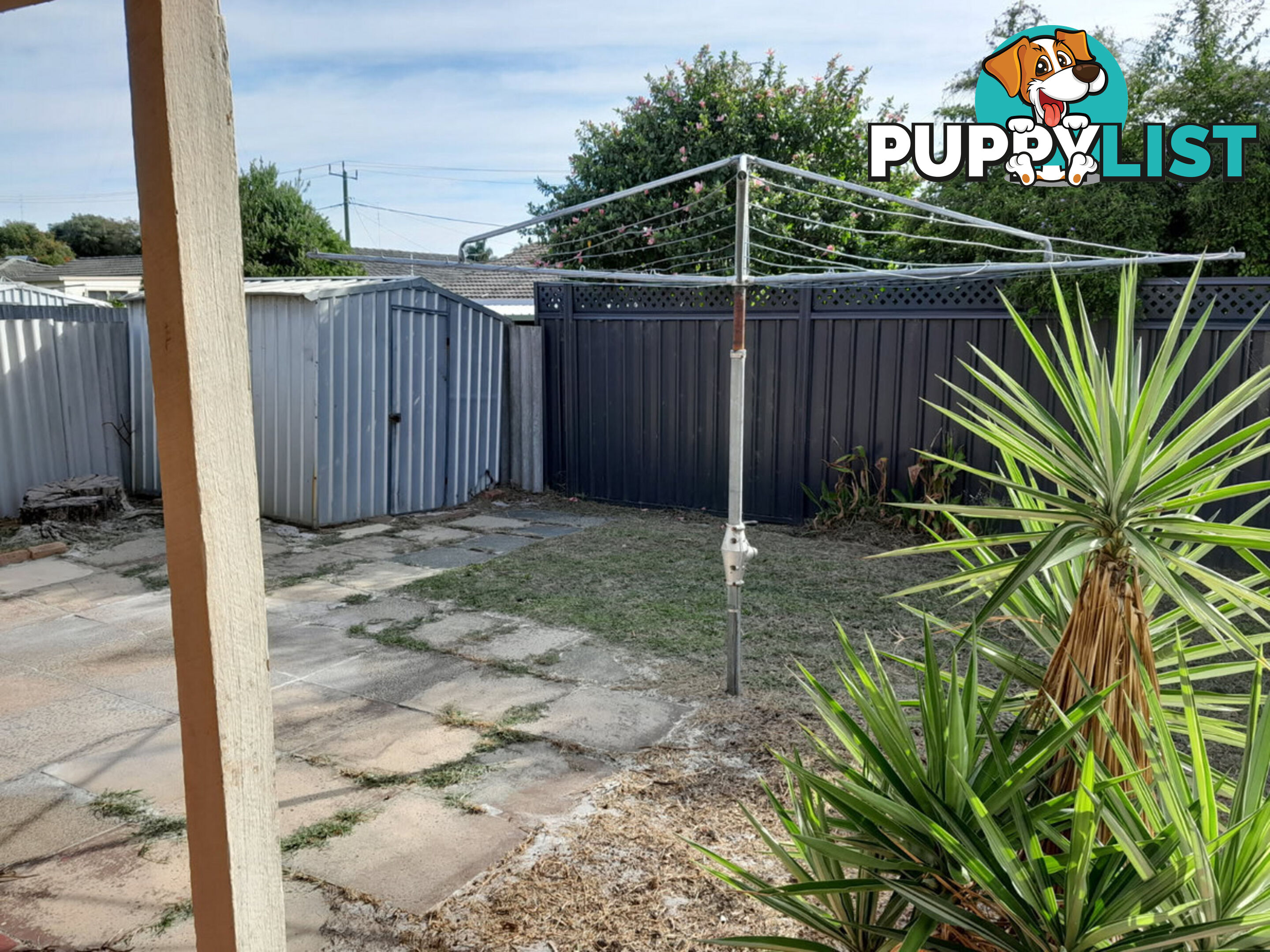 14B Beagle Place CAREY PARK WA 6230
