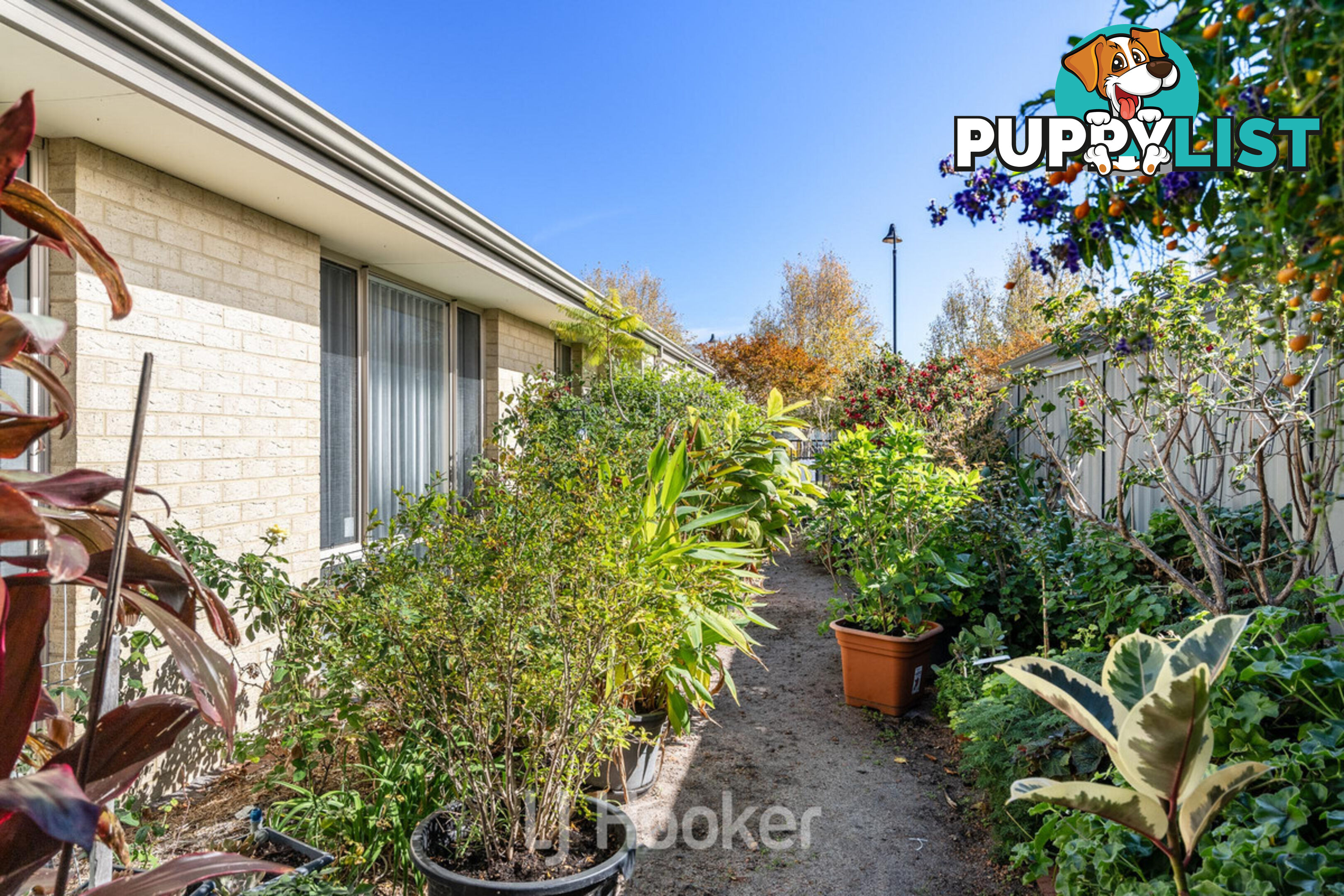 18 Mackerel Avenue VASSE WA 6280