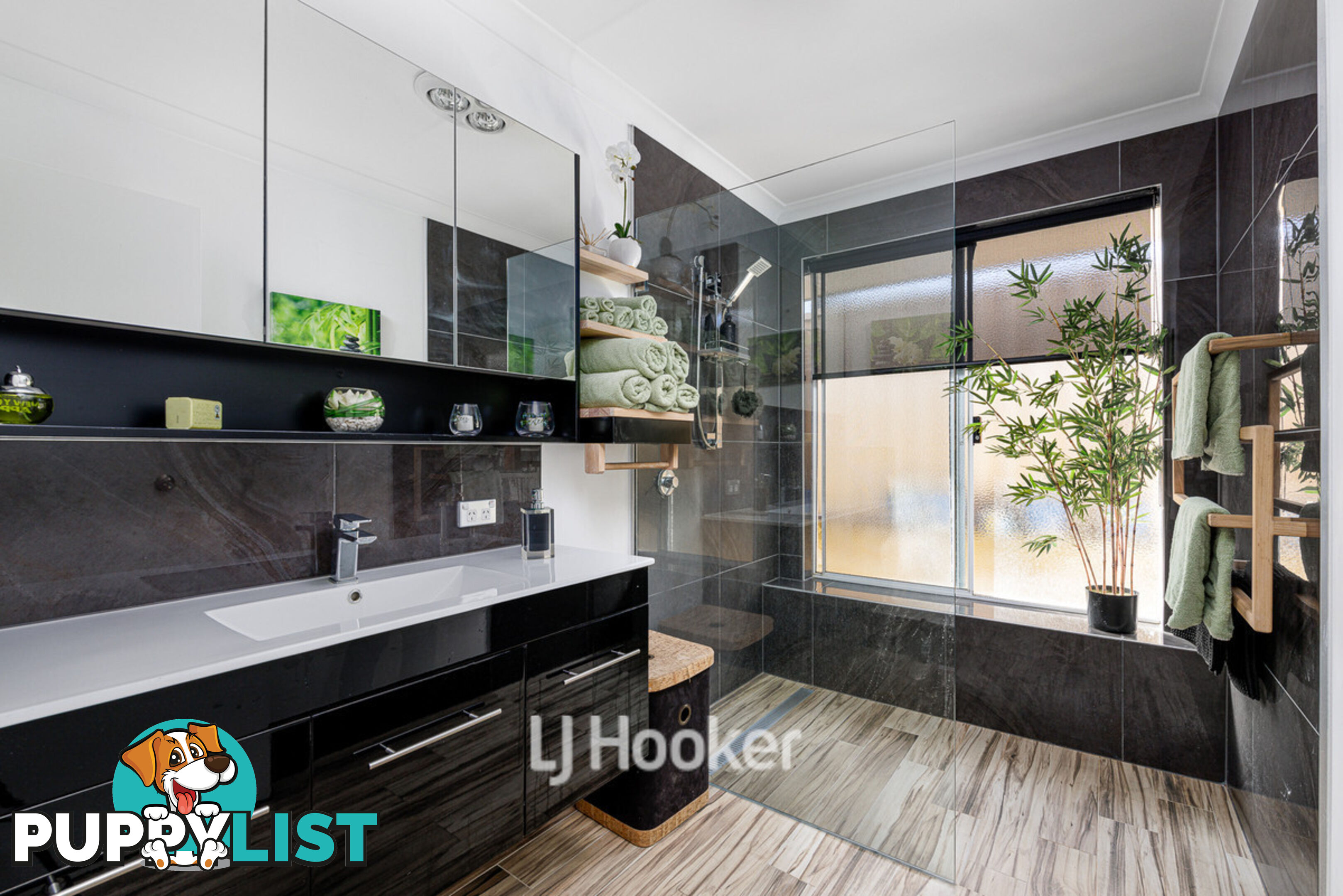 19 Casson Street DALYELLUP WA 6230