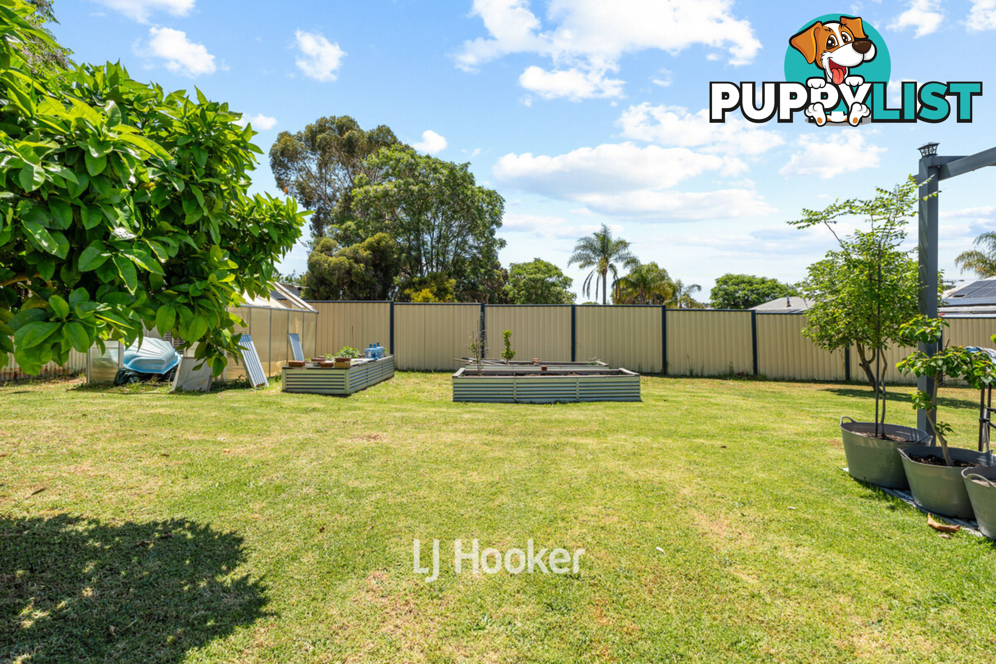 21 Prinsep Street South COLLIE WA 6225