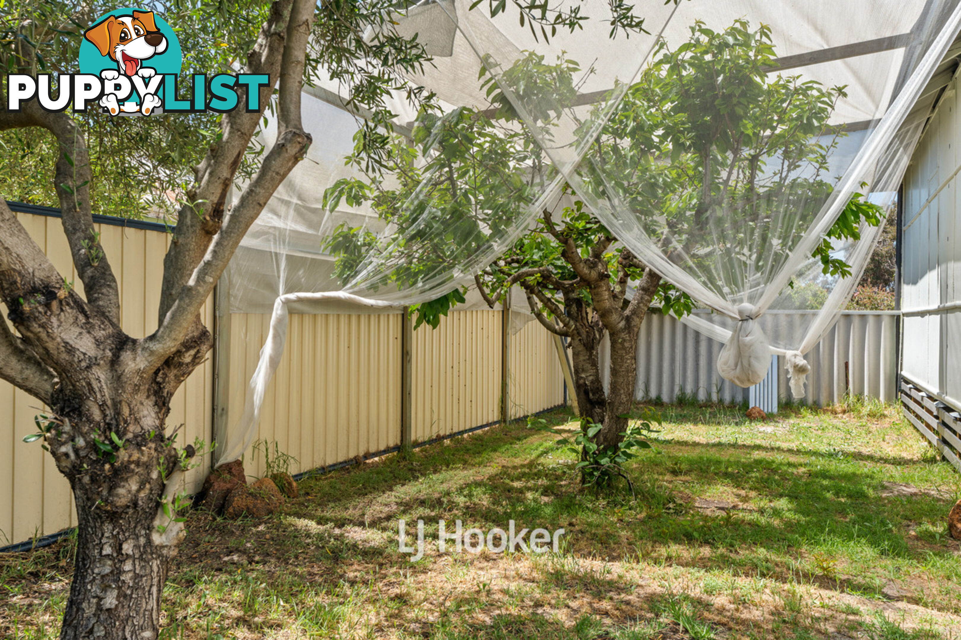 21 Prinsep Street South COLLIE WA 6225