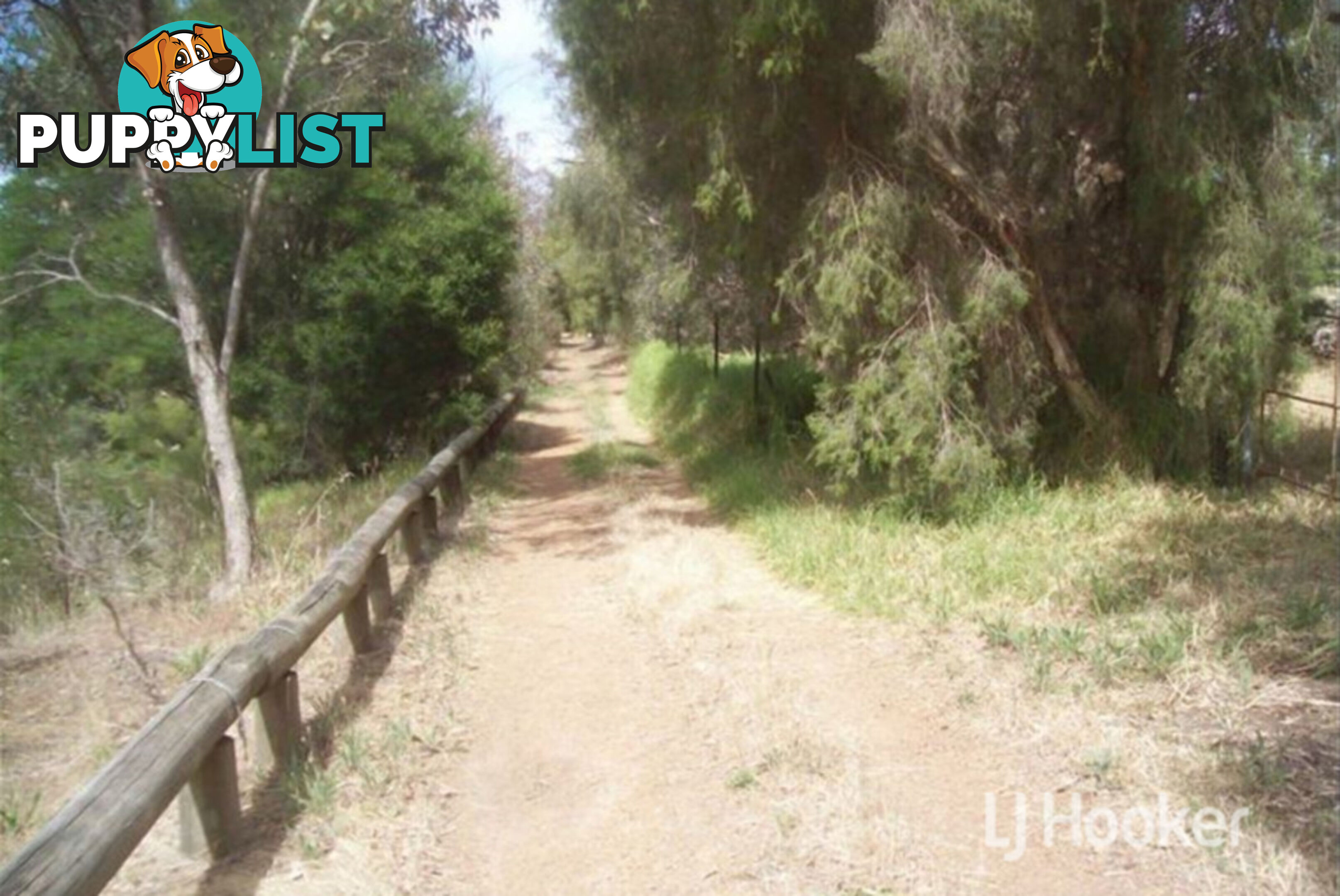 9 York Road COLLIE WA 6225