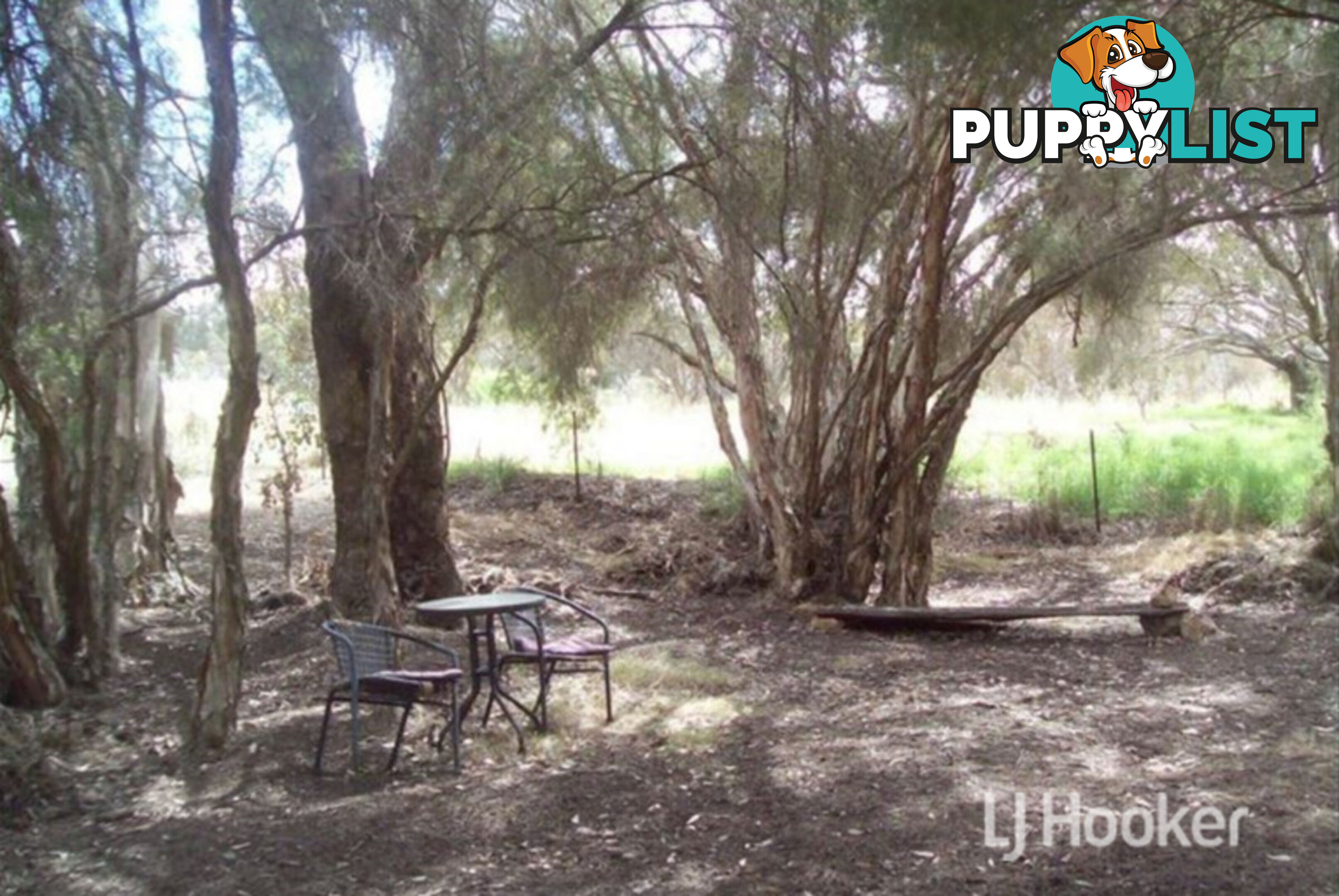 9 York Road COLLIE WA 6225
