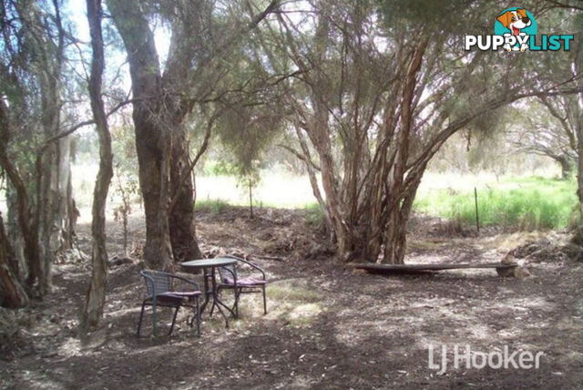 9 York Road COLLIE WA 6225