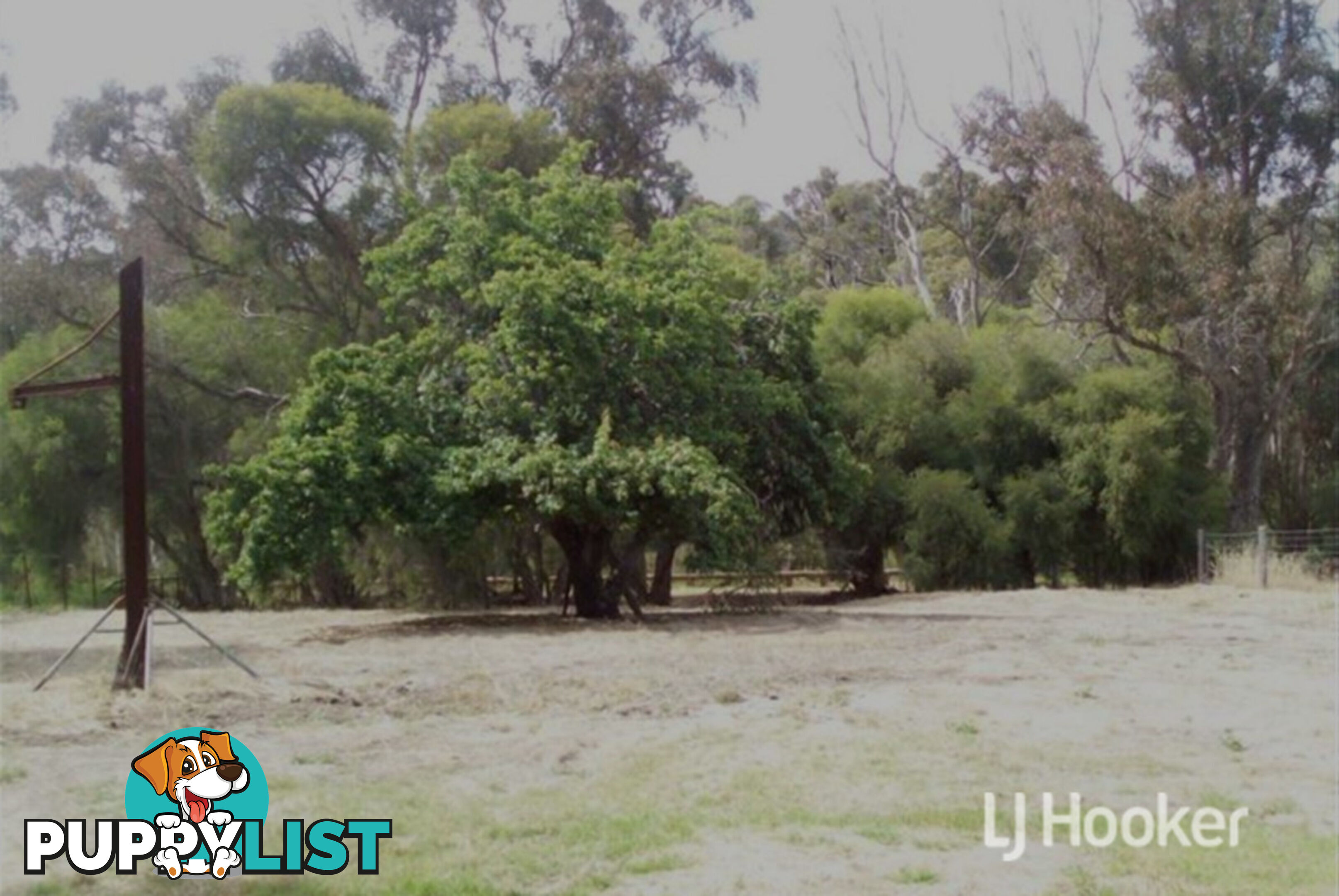 9 York Road COLLIE WA 6225