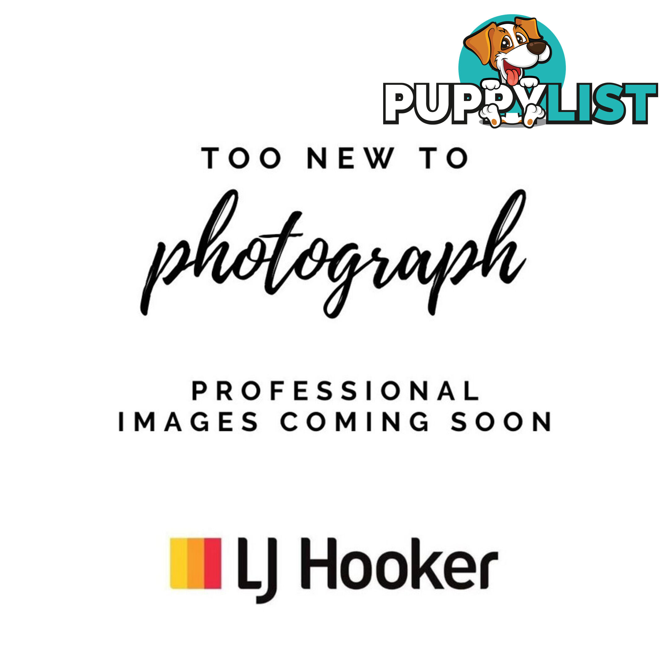 17 Hayes Street BUNBURY WA 6230