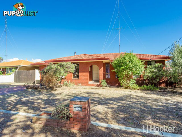 17 Hudson Road WITHERS WA 6230