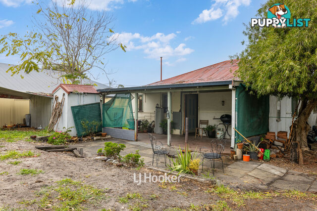 35 Telfer Crescent COLLIE WA 6225