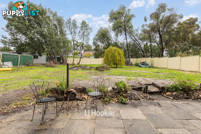 35 Telfer Crescent COLLIE WA 6225
