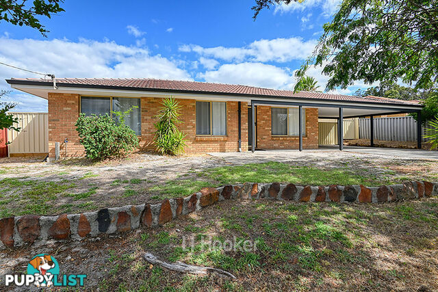 13 Sunburst Grove COLLIE WA 6225