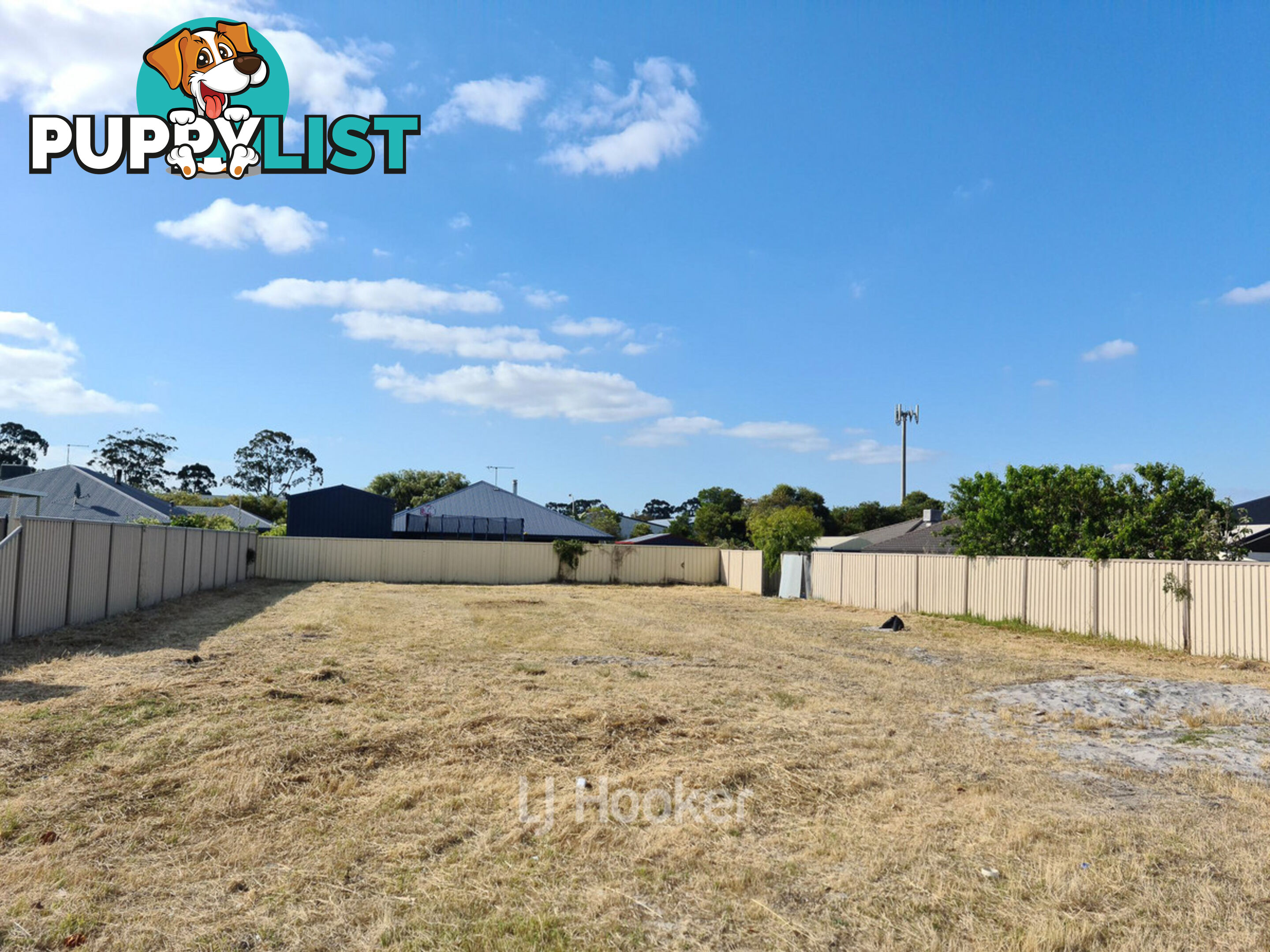 4 Barrett Street CAPEL WA 6271