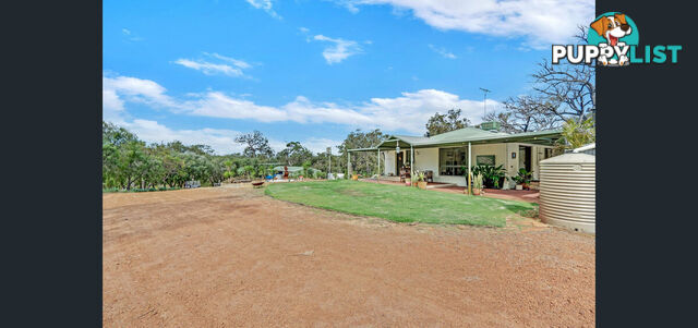 24 Australind Road LESCHENAULT WA 6233